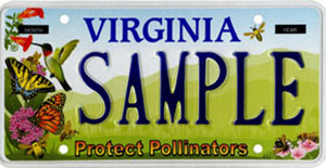 Pollinator Habitat plate